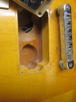 IMG_2223.jpg