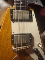 IMG_3662.jpeg