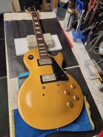 Goldtop 1.jpg