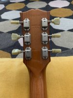 IMG_1325.jpeg
