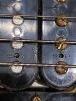 IMG_1561.jpg