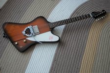 catbird (4).JPG